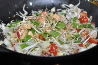 Asiatischer Gemüse Wok mit Hühnerbrust - asiaitischer gemuese wok 04 - 9