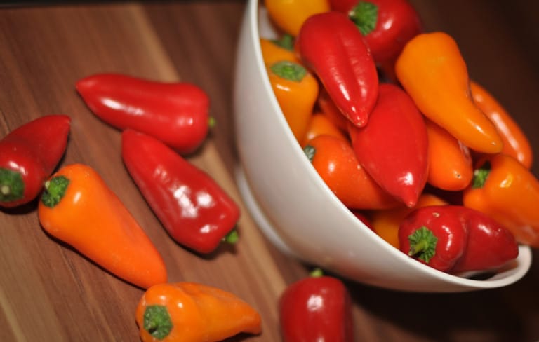Gefüllte Peppersweets selbst eingelegt - peppersweet2 - 14