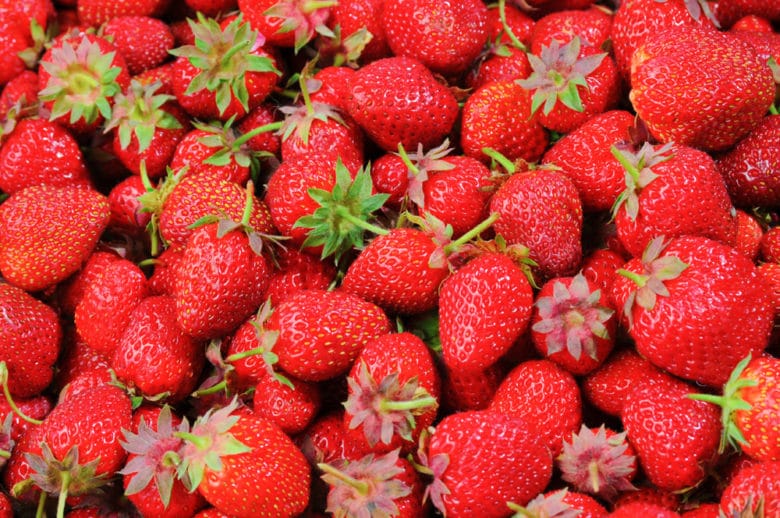 erdbeeren