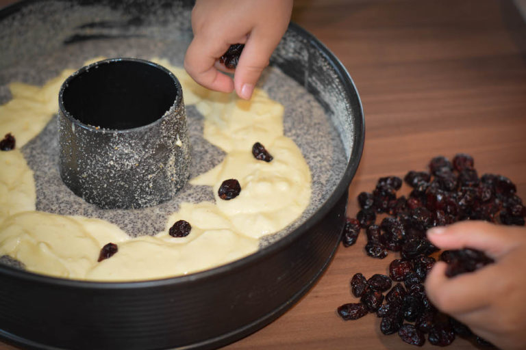 Mohn-Topfen Kuchen mit Cranberries