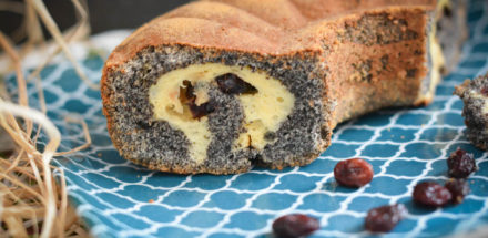 Mohn Topfen Kuchen mit Cranberries gefüllt