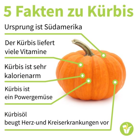 Kürbis Karotten Kokos Suppe - unsere "3K" Lieblingssuppe - Fakten zu Kürbis v3 - 2