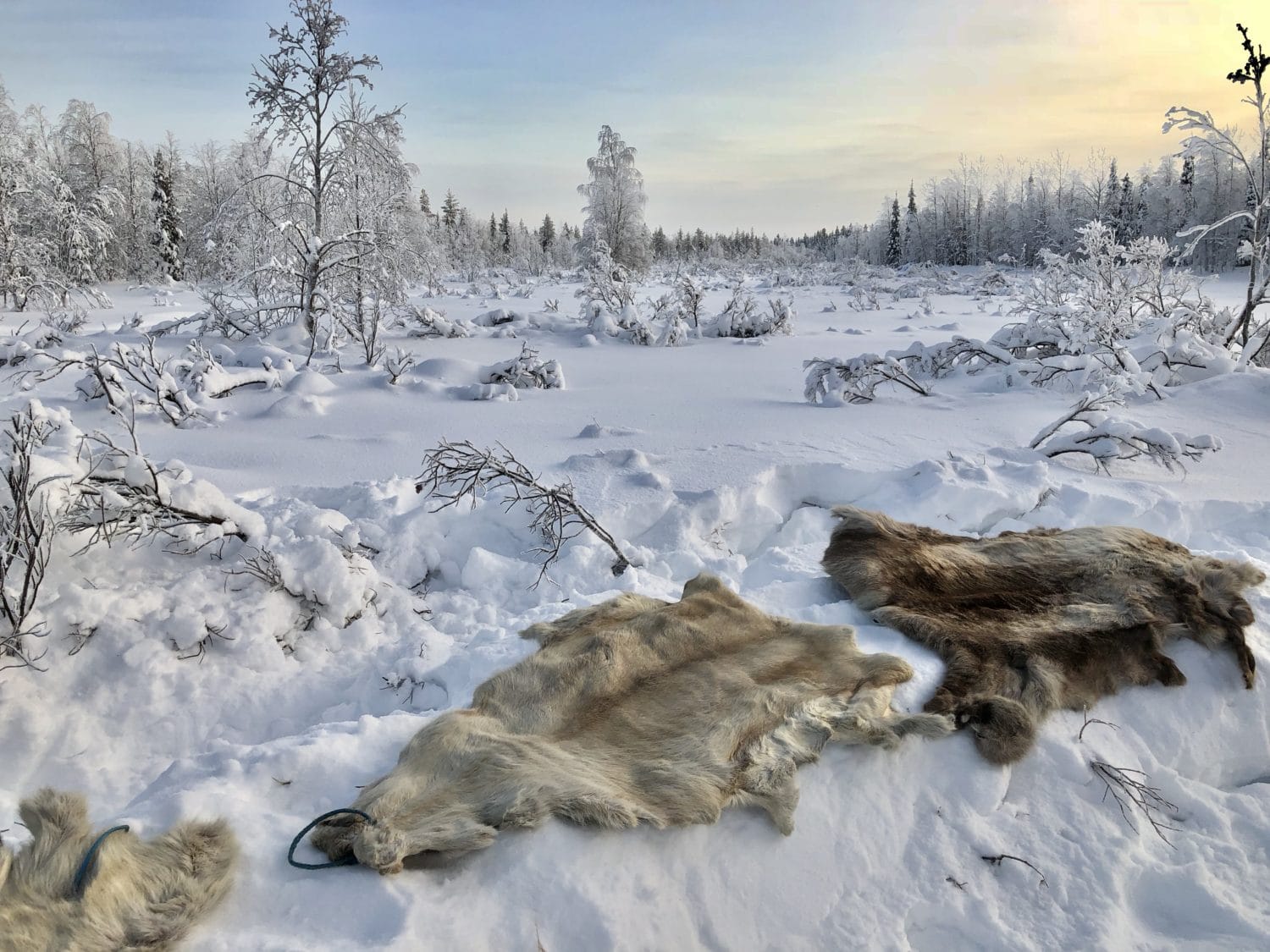 Extreme BBQ in der Wildnis von Lappland - Lappland 090 - 95