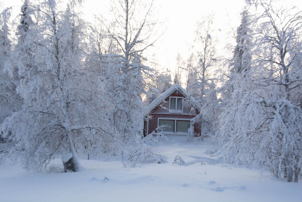 Extreme BBQ in der Wildnis von Lappland - Lappland 124 - 128