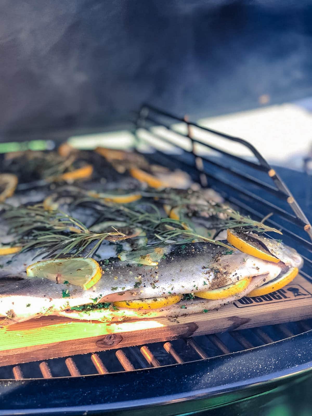 Fisch grillen am Räucherbrett - es geht auch ganz ohne Alufolie 
- entgegen der ganzen Grill-Mythen