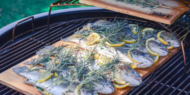 Gegrillte Regenbogenforelle von der Holzplanke - lachsforelle grillen 15 - 2 Gegrillte Regenbogenforelle von der Holzplanke - lachsforelle grillen 15 - 1