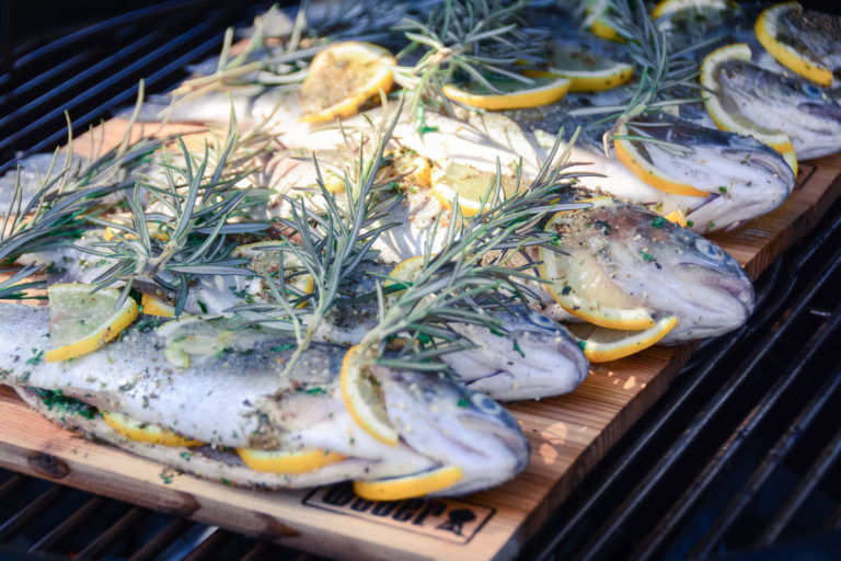 Gegrillte Regenbogenforelle von der Holzplanke - lachsforelle grillen 16 - 21