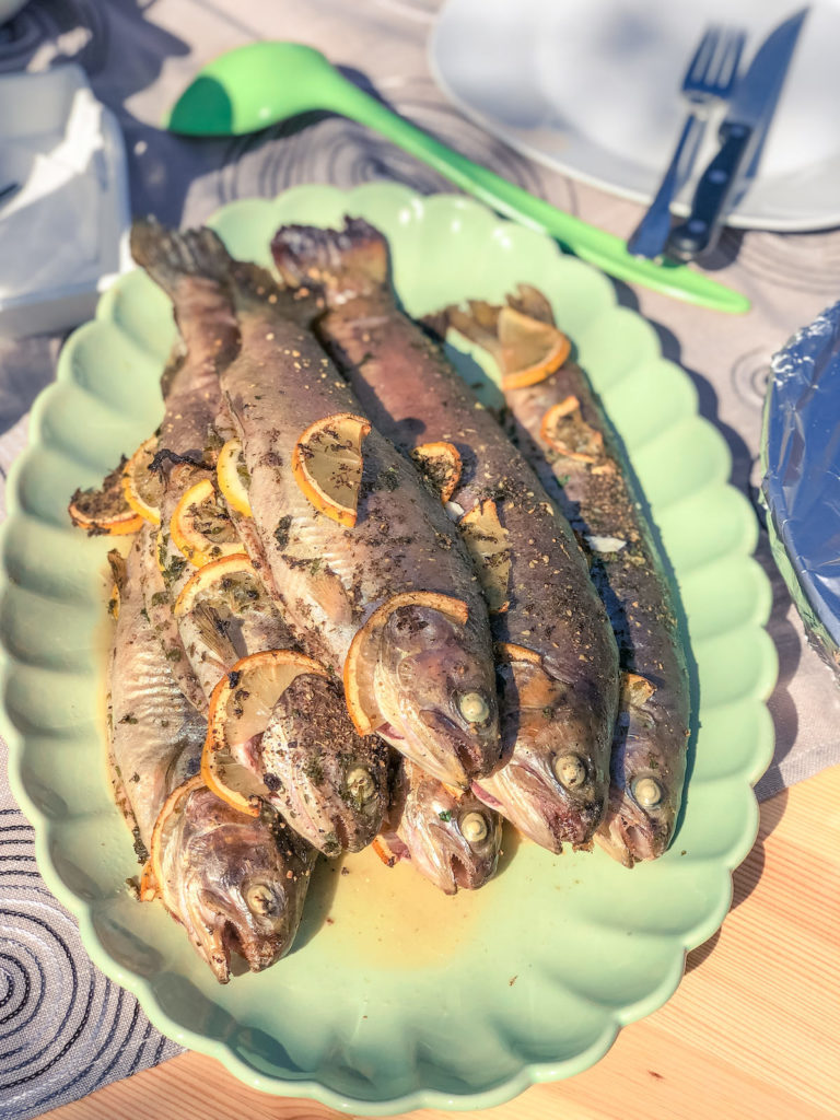 Gegrillte Regenbogenforelle von der Holzplanke - lachsforelle grillen 24 - 23