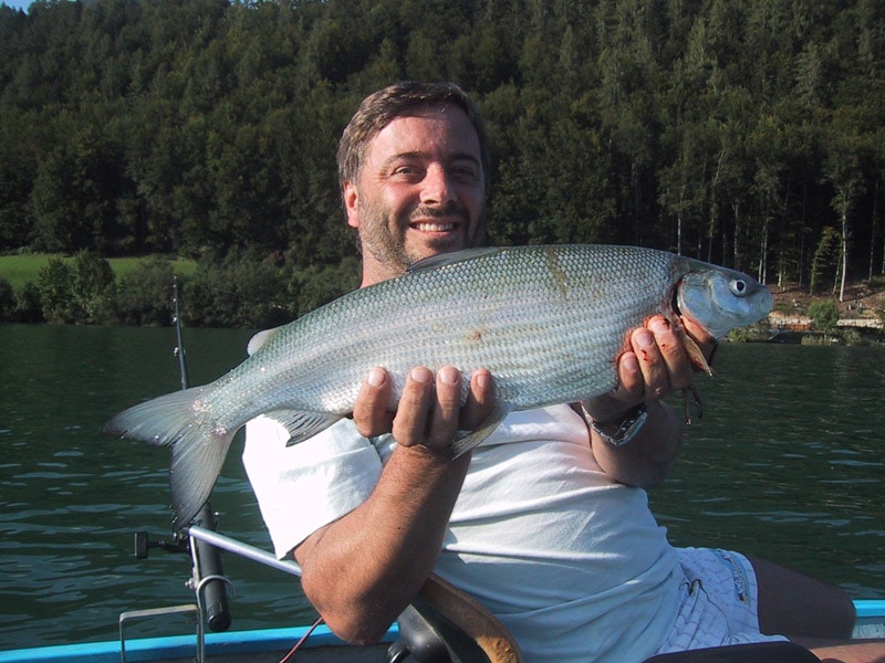 Wolfgangsee Revier Ost