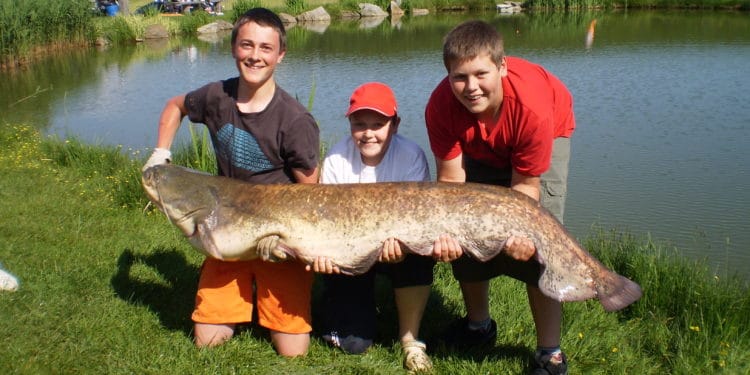 Angelteich Rading Bad Leonfelden