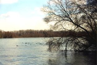 Donau Schwandlwasser - 2001 02 28 Schwandlwasser - 5