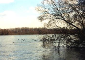 Donau Schwandlwasser