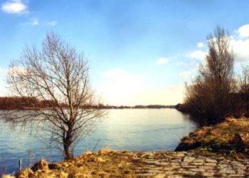 Donau Stutzwasser