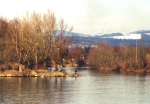 Donau Au-Wasser - 2001 03 02 Auerwasser Aistmuendung 12 - 3