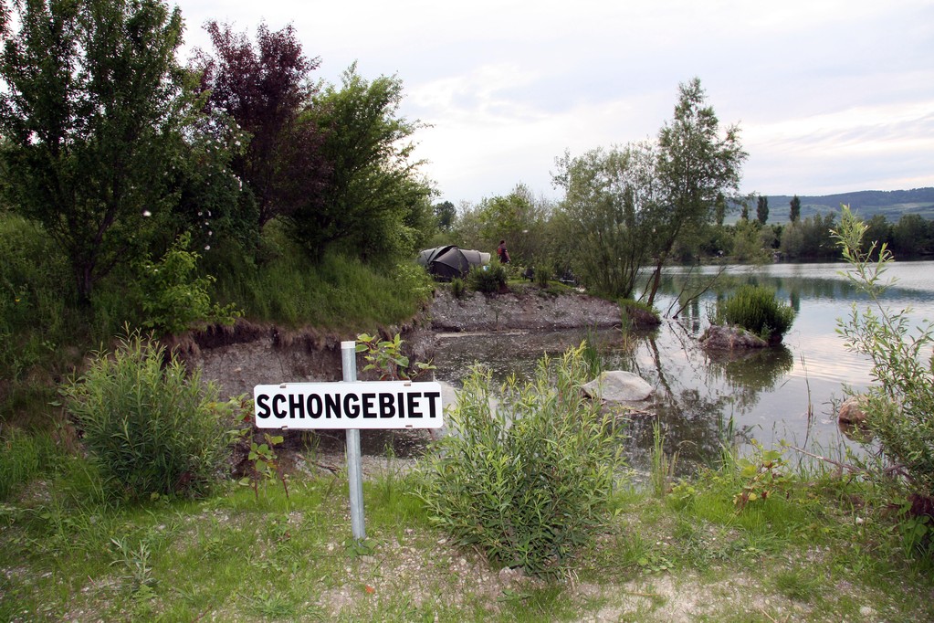 Impressionen vom Handlteich fischen 