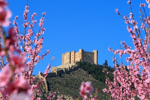 Ebro bei Mequinenza