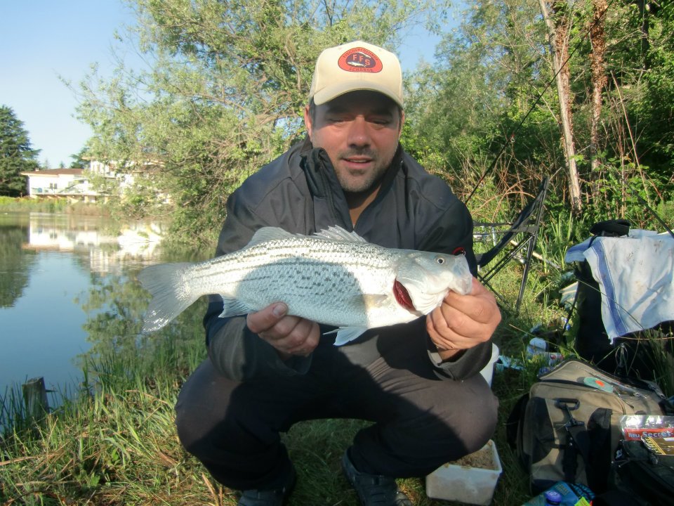 Angeln im Fischerparadies Pocenia