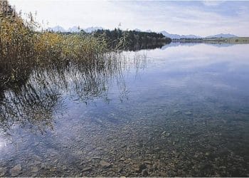 Bannwaldsee bei Schwangau