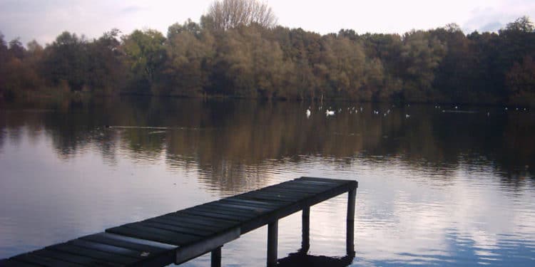 Nette De Witt Seen - Bild 007 - 1 Nette De Witt Seen