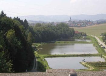 Mostlandl Teiche Gaspoltshofen