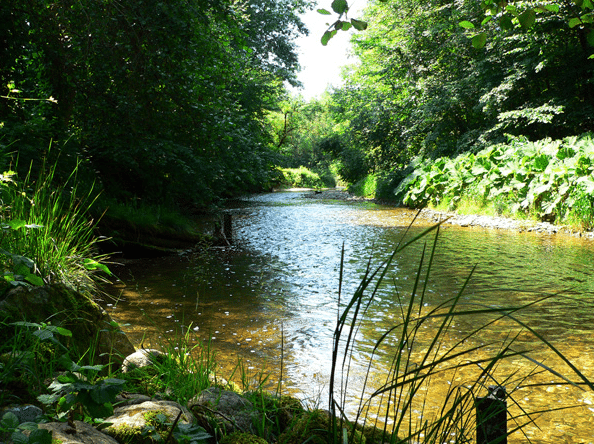 Laudach im Sommer 