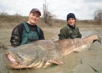 Wallercamp „großer Fluss“ am Po