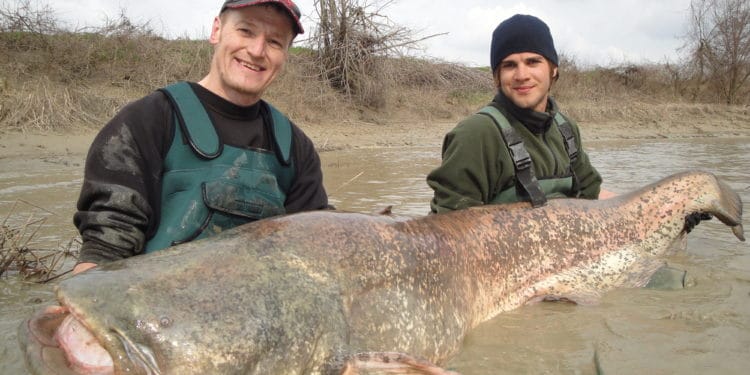 Wallercamp „großer Fluss“ am Po