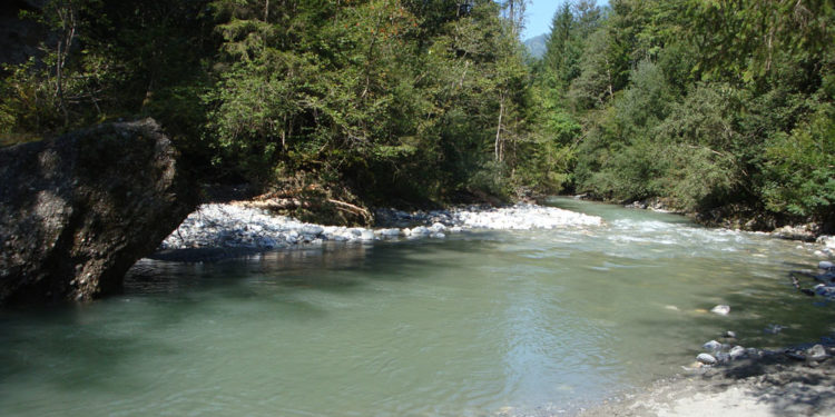 Pongauer Aachen - DSC09613 - 1 Pongauer Aachen