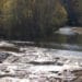 Gullingbach - DSC 0988 - 12 Gullingbach