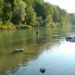 Steyr bei Molln - EnergieAg002 - 11 Steyr bei Molln