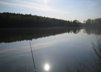 Fischteich Rotenturm