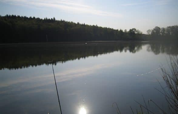 Fischteich Rotenturm - Fischteich Rotenrurm - 1 Fischteich Rotenturm