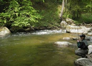 Feldaist (Wartberg ob der Aist)