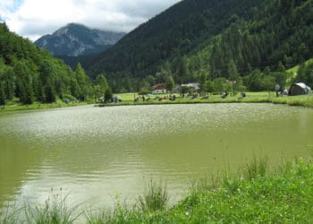 Lamberger Teich (Rosenau)