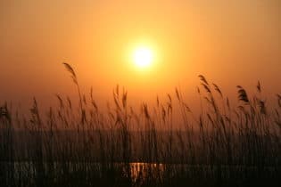 Neusiedlersee - IMG 9038 - 9
