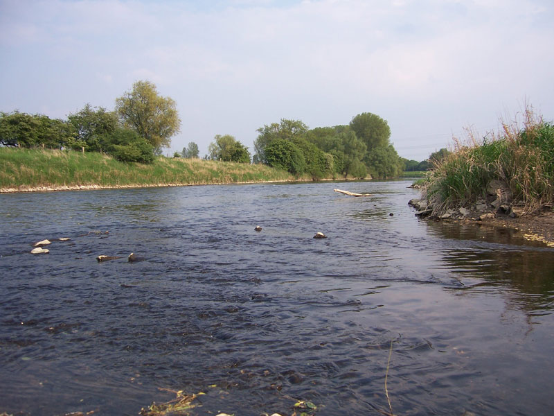 Angeln im Fluss Lippe