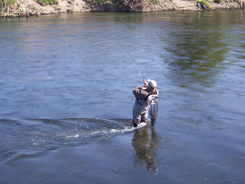 Angeln im Fluss Lippe