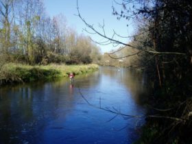 Mühlheimer Ache - Muehlheimer Ache2 - 5