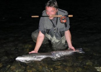 Mur in der Steiermark