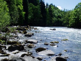 Salzach im oberer Bereich / Pongau - Salzach7 - 5