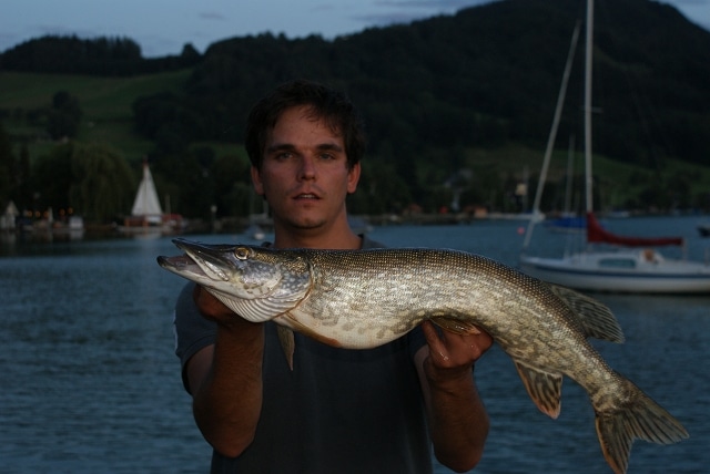 Schlepphecht fischen am Attersee