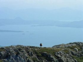 Langenuen Insel Stord - Vom Berg web - 1