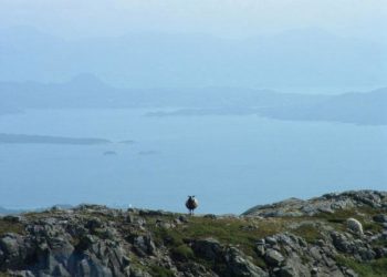Langenuen Insel Stord