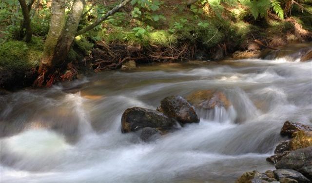 Etrachsee und Etrachbach
