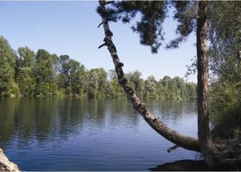 Alter Rhein Hohenems