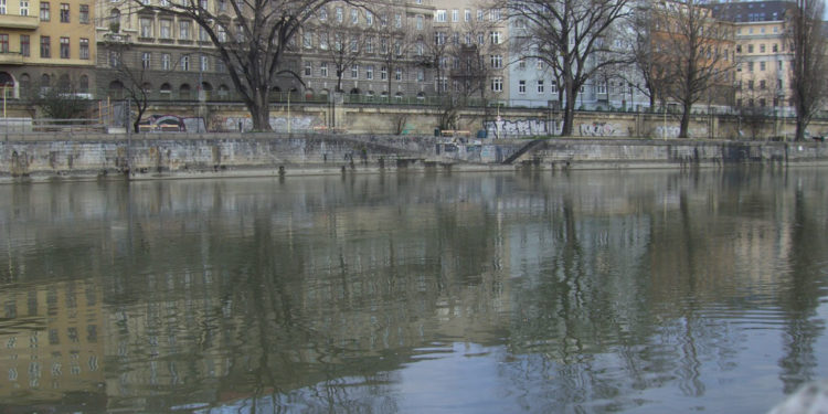Donaukanal Wien - donaukanal bei flex - 1 Donaukanal Wien