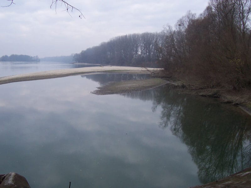 Angeln in der ungarischen Drau