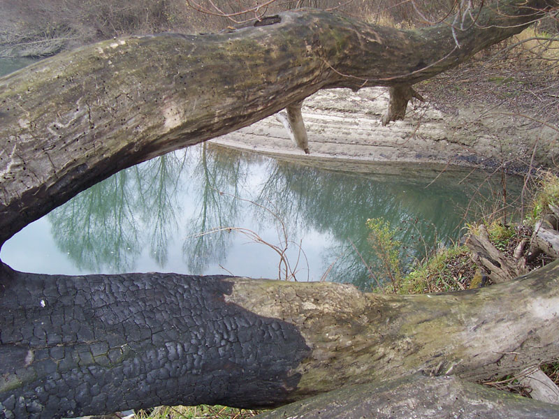 Angeln in der ungarischen Drau