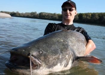 Wallercamp am Po – La Motta