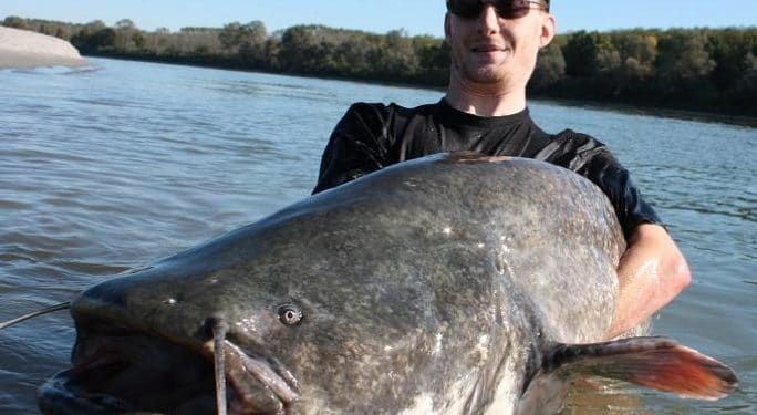 Wallercamp am Po - La Motta - droppedImage 10 - 1 Wallercamp am Po – La Motta